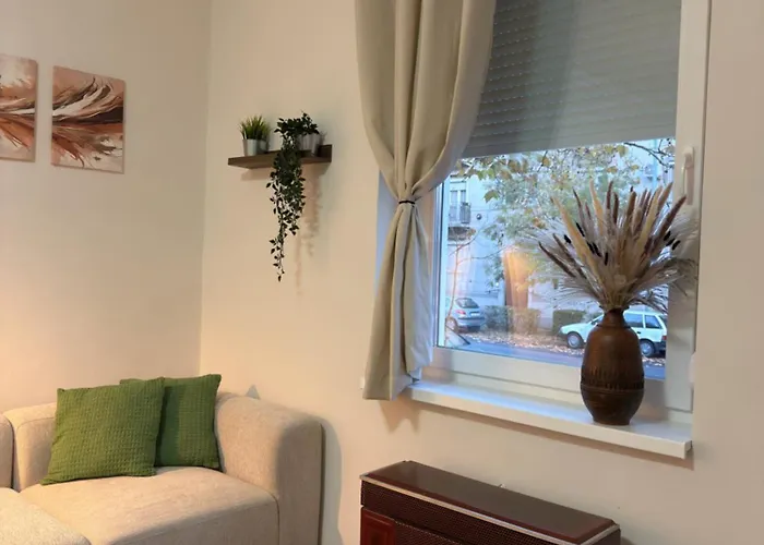 Boldog Deluxe * 索尔诺克